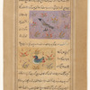 Finch (abû barâqish) [top]; Duck (urdak) [bottom]