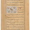 A small brown bird with downturned beak (barbû')