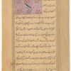Swallow (khattâf)