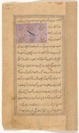 Swallow (khattâf)