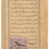 Vulture (rakhmah)