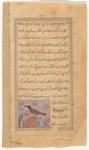 Vulture (rakhmah)