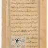 Starling (zurzûr)