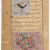 Magpie ('aq'aq) [top]; A fabulous bird ('anqâ) [bottom]