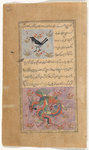 Magpie ('aq'aq) [top]; A fabulous bird ('anqâ) [bottom]