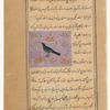 Raven (ghurâb)