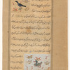 Another raven [ghurâb] [top]; Crane (ghurbîq) [bottom]