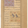 Ring-dove (fâkhta) [top]; Partridge (qabj) [bottom]