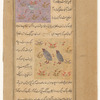 Ring-dove (fâkhta) [top]; Partridge (qabj) [bottom]