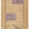 Sand grouse (qatâ) [top]; Turtledove (qumrî) [middle]; Phoenix (qûqnus) [bottom]