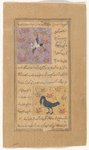 Stork (laqlaq) [top]; Great crested grebe (mâlik al-hazîn) [bottom]