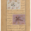 A whistling bird (mukâ') [top]; Egyptian vulture (karkas) [bottom]