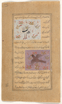 A whistling bird (mukâ') [top]; Egyptian vulture (karkas) [bottom]