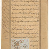 Chameleon (hirbâ)