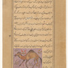 Camel (jamal)