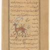 Wild ox (baqar al-vahsh)