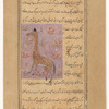 Giraffe (zurâfat)