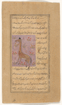 Giraffe (zurâfat)