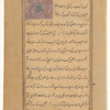 Moth (parvânah)