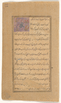 Moth (parvânah)