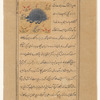 Porcupine (qunfud)