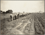 Men working at Dalworthington Gardens, Texas