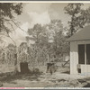 Aug. 20, 1935. McComb homesteads, Mississippi. Backyard at farm of J. R. Butler
