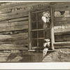 Detail of cabin construction. Virginia