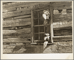 Detail of cabin construction. Virginia