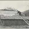 Spreading out apples to dry, Nicholson Hollow. Shenandoah National Park, Virginia