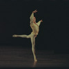 Sean Lavery in Balanchine's "Walpurgisnacht"