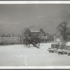 Scene in Fort Greene Park, Brooklyn, NY