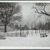 Scene in Fort Greene Park in Brooklyn, NY