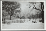 Scene in Fort Greene Park in Brooklyn, NY