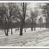 Scene in Fort Greene Park in Brooklyn, NY