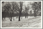 Scene in Fort Greene Park in Brooklyn, NY