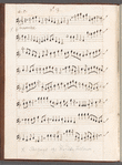 Tenor