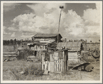 Sharecropper's cabin. Tangipahoa Parish, Louisiana