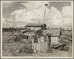 Sharecropper's cabin. Tangipahoa Parish, Louisiana