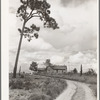 Home of tenant farmer who has not yet been moved into a new house. Irwinville Farms, Georgia