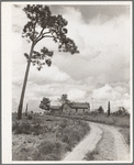 Home of tenant farmer who has not yet been moved into a new house. Irwinville Farms, Georgia