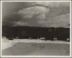 Freightcars in yards of farmers' cooperative. White River Junction, Vermont