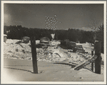 Pulpwood cut by Forest Products Association, Inc. Coos County, New Hampshire