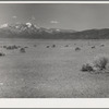 Barren overgrazed land on the Taos land use project, New Mexico. This land will become good sheep-grazing acreage when the grass is allowed to grow back