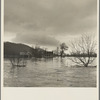 Farms completely isolated by the Shenandoah River during spring floods. West Virginia