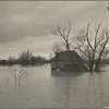 Farm covered by rising waters of Shenandoah River, Virginia