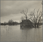 Farm covered by rising waters of Shenandoah River, Virginia