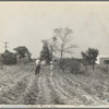 Settlers on McComb Homesteads at work in their garden. Pike County, Mississippi