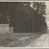 Part of Irwinville Farms, Georgia