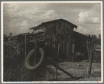 Sharecropper's barn. Louisiana